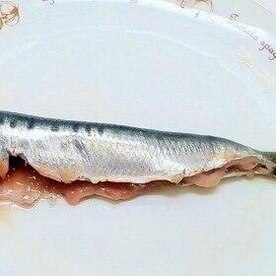 鰯のトマトソースがけ レシピ 作り方 By 体脂肪率11 夫人 楽天レシピ 鰯のトマトソースがけ レシピ 作り方 By 体脂肪率11 夫人 楽天レシピ